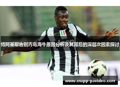 博阿基耶告别青岛海牛原因分析及其背后的深层次因素探讨