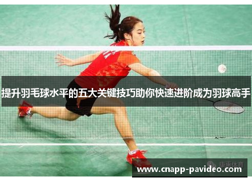 提升羽毛球水平的五大关键技巧助你快速进阶成为羽球高手