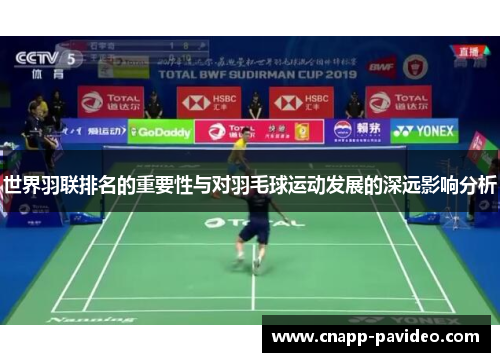 世界羽联排名的重要性与对羽毛球运动发展的深远影响分析