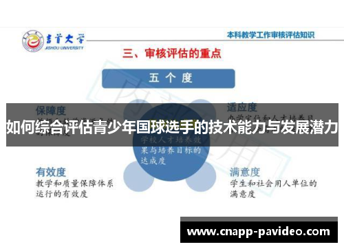 如何综合评估青少年国球选手的技术能力与发展潜力