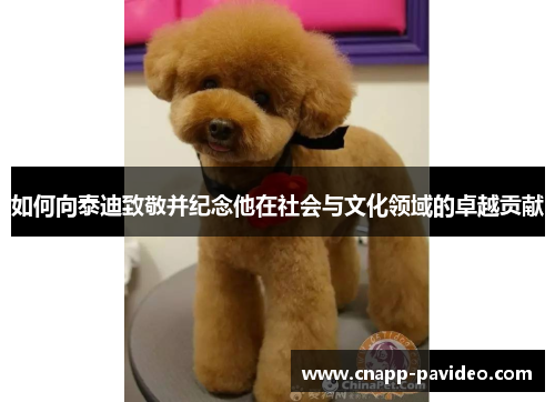 如何向泰迪致敬并纪念他在社会与文化领域的卓越贡献