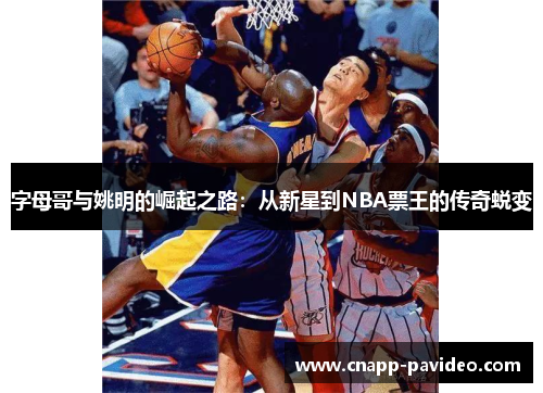 字母哥与姚明的崛起之路：从新星到NBA票王的传奇蜕变