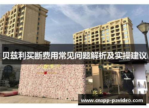 贝兹利买断费用常见问题解析及实操建议