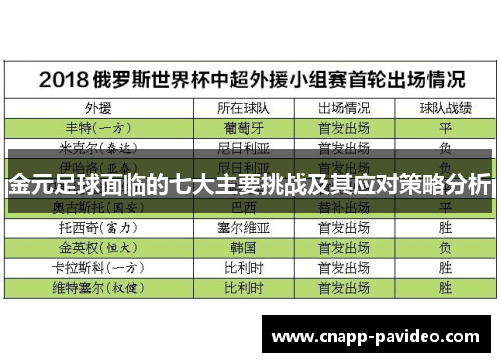 金元足球面临的七大主要挑战及其应对策略分析