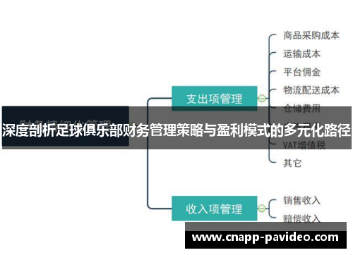 深度剖析足球俱乐部财务管理策略与盈利模式的多元化路径